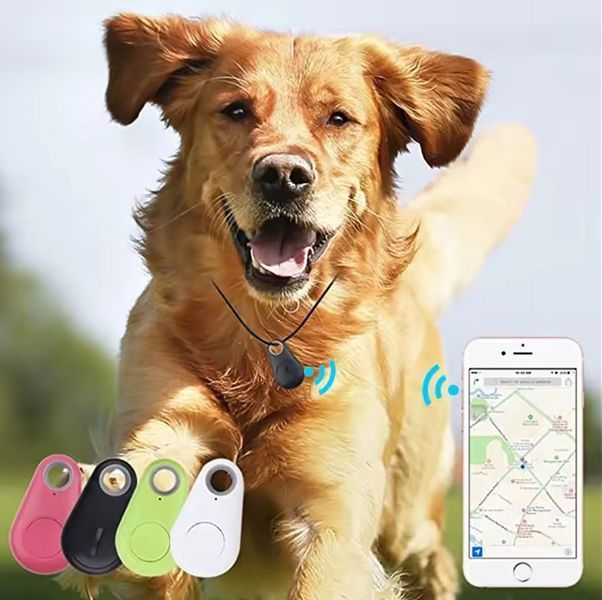 Розумний Bluetooth GPS-трекер, пристрій для захисту від втрати хатніх тварин і тд. White 0413 фото