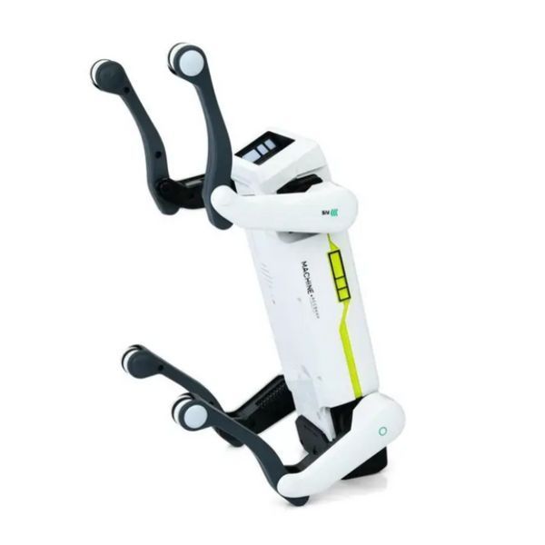 Интерактивная игрушка робот собака RIAS Robot Dog 8002 с пультом управления 1722 фото