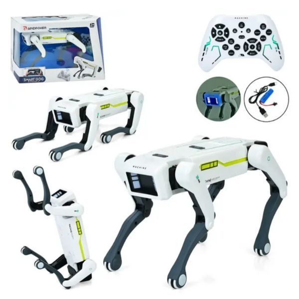 Интерактивная игрушка робот собака RIAS Robot Dog 8002 с пультом управления 1722 фото