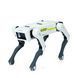 Интерактивная игрушка робот собака RIAS Robot Dog 8002 с пультом управления 1722 фото 1