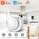 Датчик дыма Wi-Fi Tuya Smart Life для дома | Беспроводной пожарный извещатель 2093 фото 6