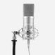 Мікрофон студійний Auna Pro MIC-900 USB сріблястий з кріпленням &laquo;павук&raquo; / конденсаторний мікрофон для стрімів і подкастів / USB-мікрофон для запису голосу 2159 фото 2