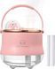 Портативный USB увлажнитель воздуха-ночник с уточкой Pink 0552a фото 2