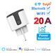 Смарт розетка Tuya Smart Life WiFi 20A 4400W White / Розумна вайфай розетка з лічильником електроенергії 0153 фото 2